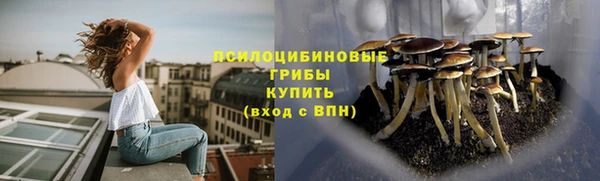 ГАЛЛЮЦИНОГЕННЫЕ ГРИБЫ Абдулино